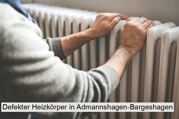 Defekter Heizkörper in Admannshagen-Bargeshagen